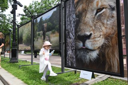 Фотовыставка Золото Африки\" на Тверском бульваре