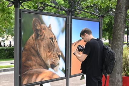 Фотовыставка Золото Африки\" на Тверском бульваре