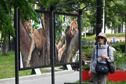 Фотовыставка Золото Африки\" на Тверском бульваре