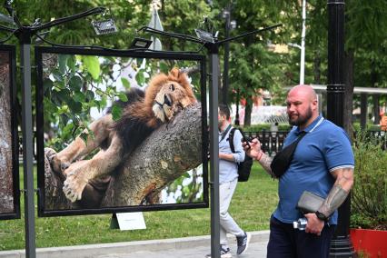 Фотовыставка Золото Африки\" на Тверском бульваре
