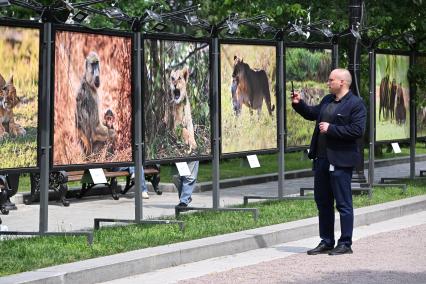 Фотовыставка Золото Африки\" на Тверском бульваре