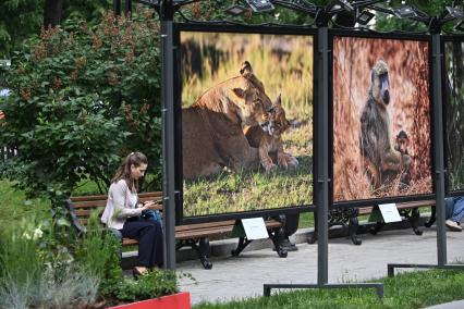 Фотовыставка Золото Африки\" на Тверском бульваре