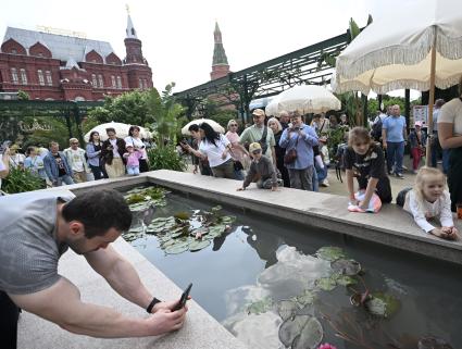 Ландшафтный фестиваль Сады и цветы\" в Москве