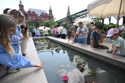 Ландшафтный фестиваль Сады и цветы\" в Москве