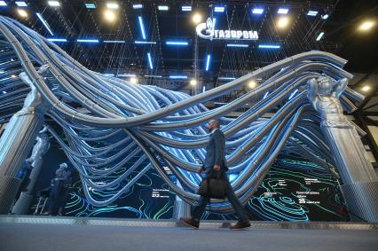 Петербургский международный экономический форум 2025
