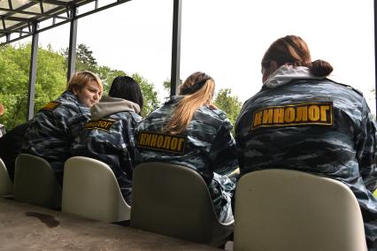 День кинолога
