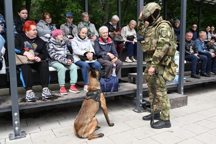 День кинолога