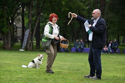 День кинолога
