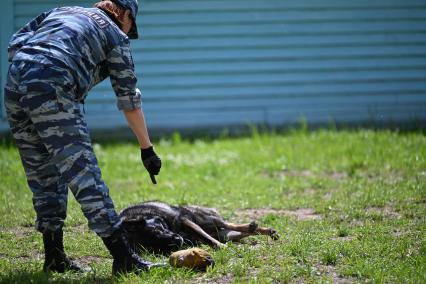 Пресс-тур московской полиции в метрополитене