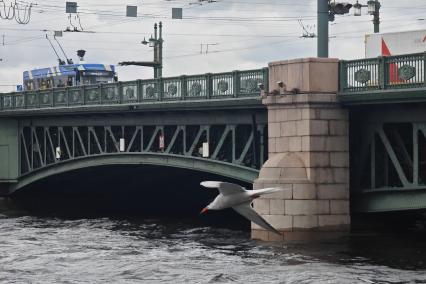 Непогода в Петербурге