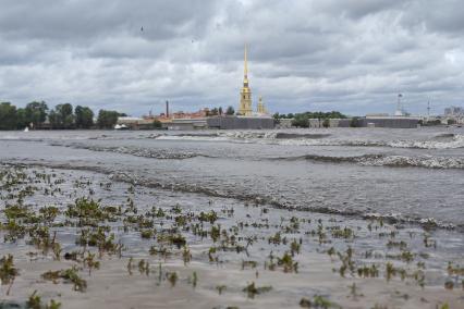 Непогода в Петербурге