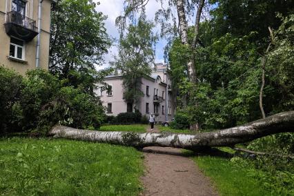 Непогода в Петербурге