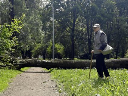 Непогода в Петербурге