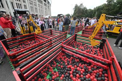 День Московского спорта в Лужниках