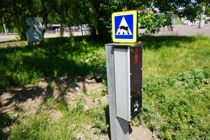 Светофор для сусликов установили в красноярском Татышев-парке