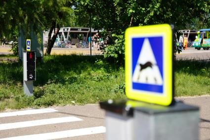 Светофор для сусликов установили в красноярском Татышев-парке