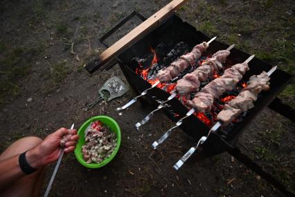 Приготовление шашлыка