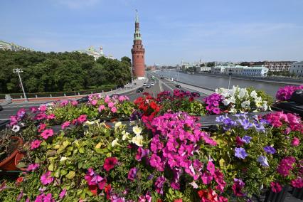 Повседневная жизнь Москвы