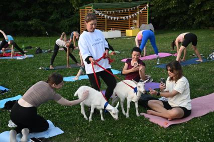 Йога с козами в Парке Горького