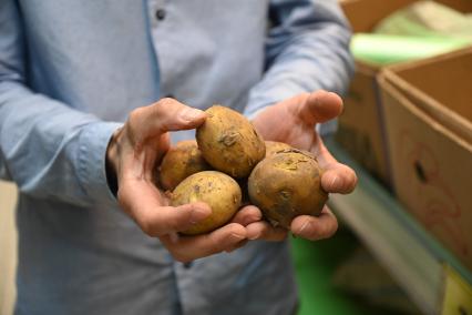 Овощи в продуктовом магазине