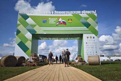 12-й открытый чемпионат России по пахоте в Санкт-Петербурге