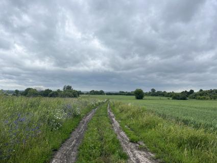 Село Ловчиково Орловской области