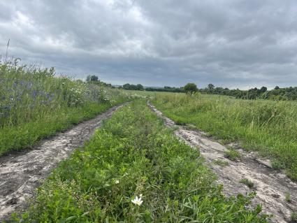 Село Ловчиково Орловской области