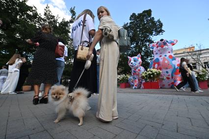 Фестиваль Моспитомец\" на Тверском бульваре