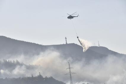 Лесные пожары в Геленджике