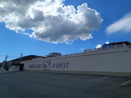 Виноделие в Краснодарском крае