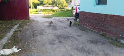 Александров