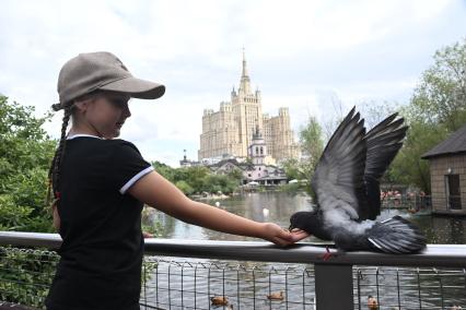 Московский зоопарк летом