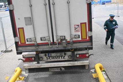 Досмотр цветочной продукции в зоне таможенного контроля в Химках