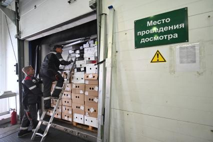 Досмотр цветочной продукции в зоне таможенного контроля в Химках