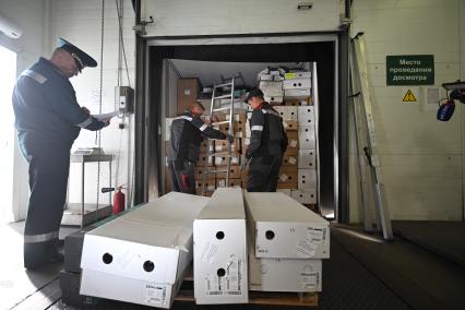 Досмотр цветочной продукции в зоне таможенного контроля в Химках