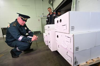 Досмотр цветочной продукции в зоне таможенного контроля в Химках