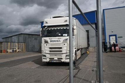 Досмотр цветочной продукции в зоне таможенного контроля в Химках