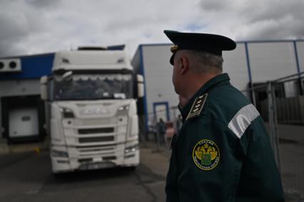 Досмотр цветочной продукции в зоне таможенного контроля в Химках