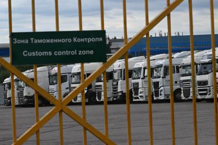 Досмотр цветочной продукции в зоне таможенного контроля в Химках
