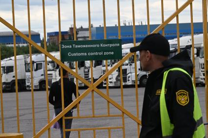 Досмотр цветочной продукции в зоне таможенного контроля в Химках