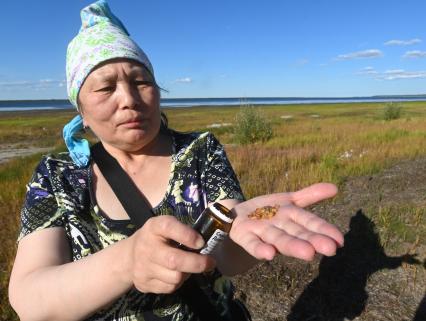 Село Хатанга в Красноярском крае