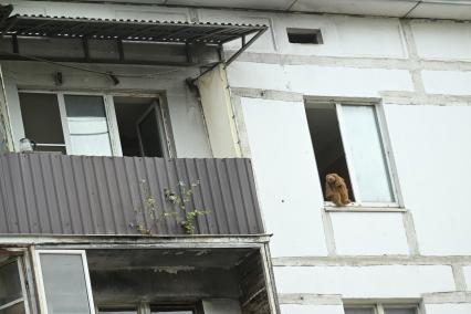 Капитальный ремонт дома