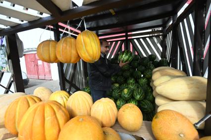 Продажа дынь и арбузов