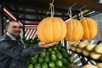 Продажа дынь и арбузов