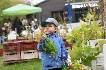 Сбор урожая в Общественном огороде\" в Парке Горького