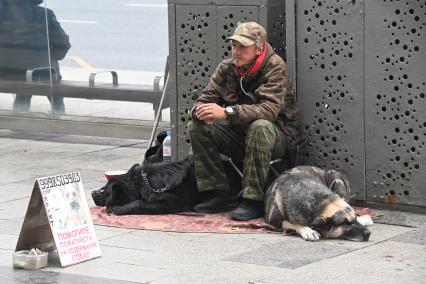 Жизнь города
