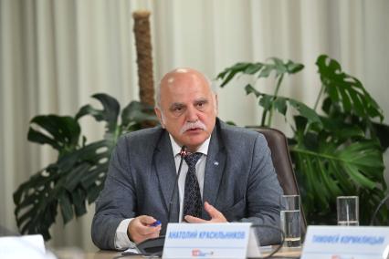 Анатолий Красильников