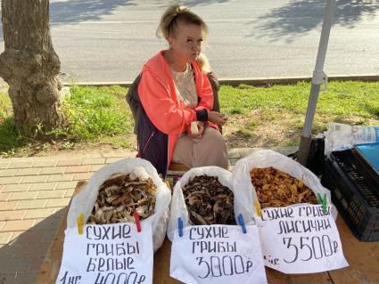 Сбор грибов