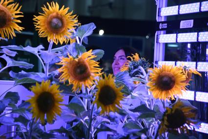 Российская агропромышленная выставка \"Золотая осень -2025\" в Москве