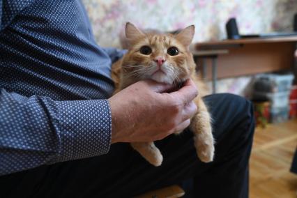 Кошка
